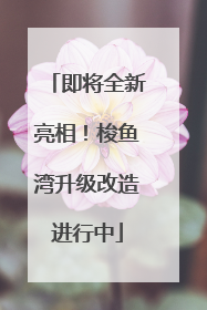即将全新亮相！梭鱼湾升级改造进行中