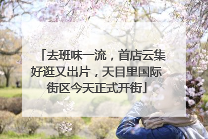 去班味一流，首店云集好逛又出片，天目里国际街区今天正式开街