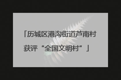 历城区港沟街道芦南村获评“全国文明村”