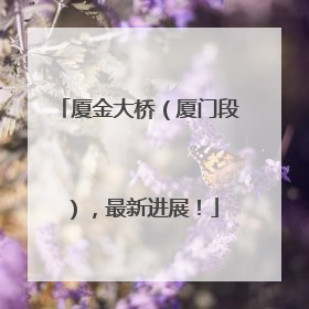 厦金大桥（厦门段），最新进展！