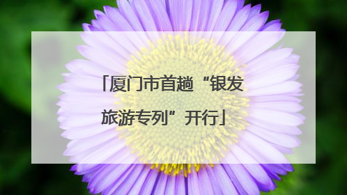 厦门市首趟“银发旅游专列”开行