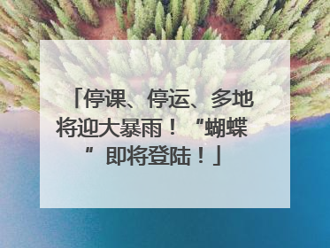 停课、停运、多地将迎大暴雨！“蝴蝶”即将登陆！