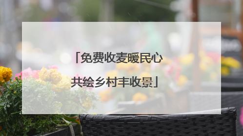 免费收麦暖民心 共绘乡村丰收景