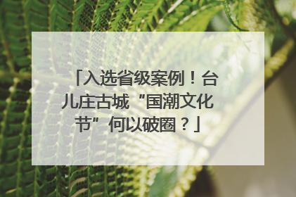 入选省级案例！台儿庄古城“国潮文化节”何以破圈？