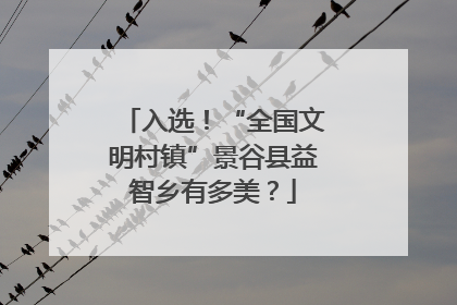 入选！“全国文明村镇”景谷县益智乡有多美？