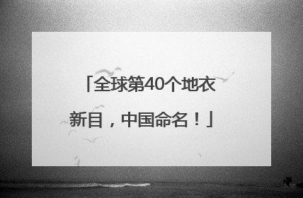 全球第40个地衣新目，中国命名！
