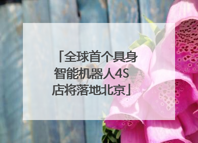 全球首个具身智能机器人4S店将落地北京