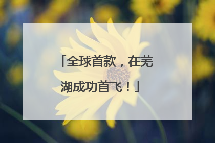 全球首款，在芜湖成功首飞！
