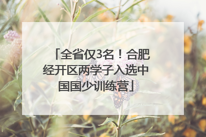 全省仅3名！合肥经开区两学子入选中国国少训练营