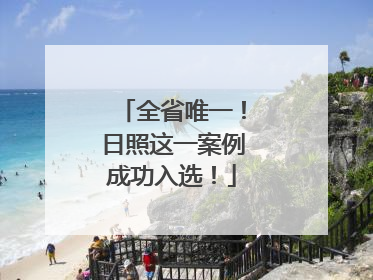 全省唯一！日照这一案例成功入选！