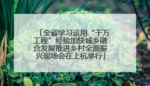 全省学习运用“千万工程”经验加快城乡融合发展推进乡村全面振兴现场会在上杭举行