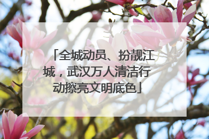 全城动员、扮靓江城，武汉万人清洁行动擦亮文明底色