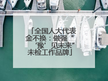 全国人大代表金不换：做强“‘豫’见未来”未检工作品牌