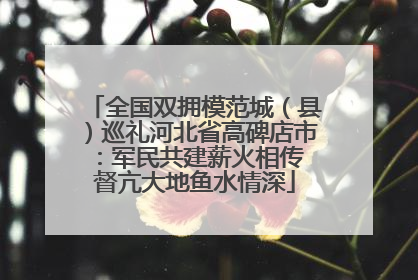 全国双拥模范城（县）巡礼河北省高碑店市：军民共建薪火相传 督亢大地鱼水情深