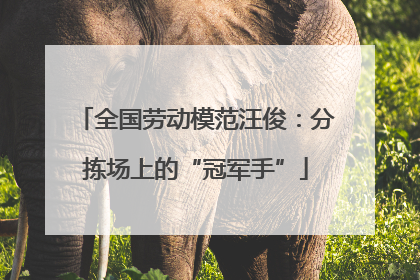 全国劳动模范汪俊：分拣场上的“冠军手”