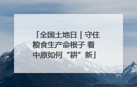全国土地日｜守住粮食生产命根子 看中原如何“耕”新