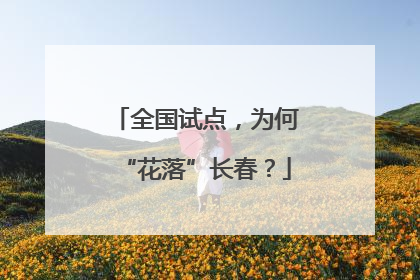 全国试点，为何“花落”长春？