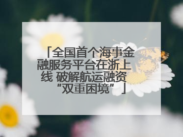 全国首个海事金融服务平台在浙上线 破解航运融资“双重困境”