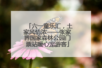 六一童乐汇，土家风情浓——张家界国家森林公园门票站暖心宠游客