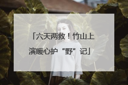 六天两救！竹山上演暖心护“野”记