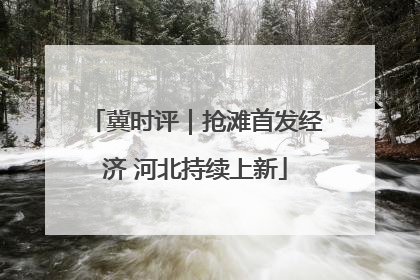 冀时评｜抢滩首发经济 河北持续上新