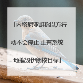 内塔尼亚胡称以方行动不会停止 正有系统地摧毁伊朗核目标
