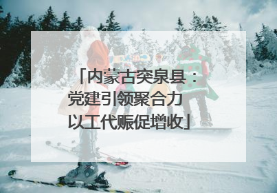 内蒙古突泉县：党建引领聚合力 以工代赈促增收