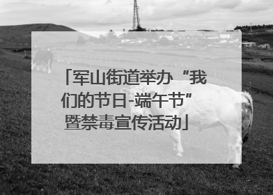 军山街道举办“我们的节日-端午节”暨禁毒宣传活动