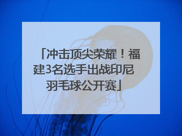 冲击顶尖荣耀！福建3名选手出战印尼羽毛球公开赛