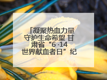 凝聚热血力量 守护生命希望 甘肃省“6 ·14世界献血者日”纪念活动在兰举行