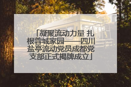 凝聚流动力量 扎根蓉城家园——四川盐亭流动党员成都党支部正式揭牌成立