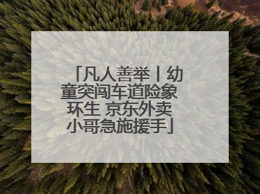 凡人善举丨幼童突闯车道险象环生 京东外卖小哥急施援手