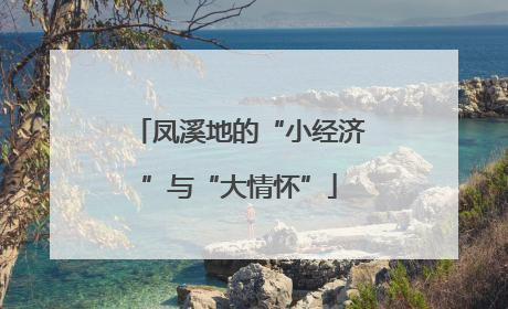 凤溪地的“小经济”与“大情怀”