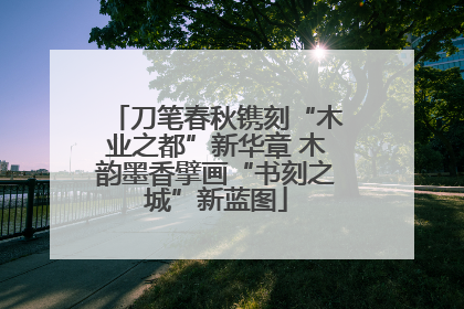 刀笔春秋镌刻“木业之都”新华章 木韵墨香擘画“书刻之城”新蓝图