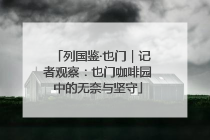 列国鉴·也门｜记者观察：也门咖啡园中的无奈与坚守