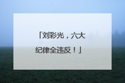 刘彩光，六大纪律全违反！