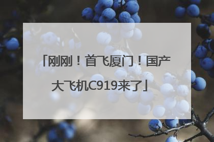 刚刚！首飞厦门！国产大飞机C919来了