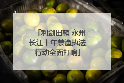 利剑出鞘 永州长江十年禁渔执法行动全面打响