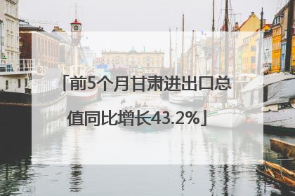 前5个月甘肃进出口总值同比增长43.2%
