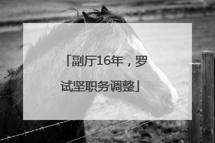 副厅16年，罗试坚职务调整