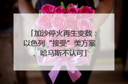 加沙停火再生变数：以色列“接受”美方案、哈马斯不认可