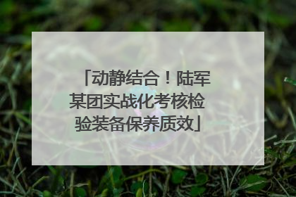 动静结合！陆军某团实战化考核检验装备保养质效