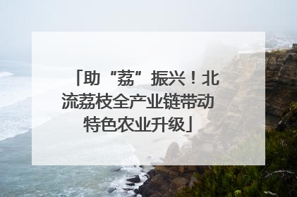 助“荔”振兴！北流荔枝全产业链带动特色农业升级