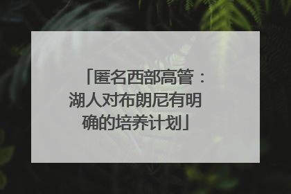 匿名西部高管：湖人对布朗尼有明确的培养计划