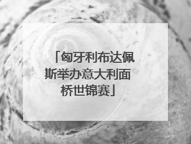匈牙利布达佩斯举办意大利面桥世锦赛
