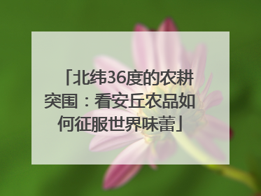 北纬36度的农耕突围：看安丘农品如何征服世界味蕾