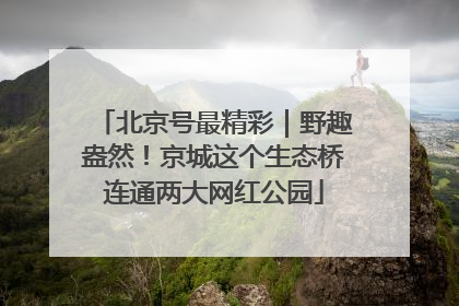 北京号最精彩｜野趣盎然！京城这个生态桥连通两大网红公园