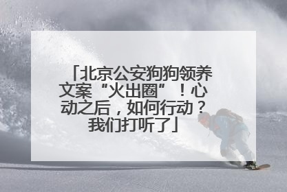 北京公安狗狗领养文案“火出圈”！心动之后，如何行动？我们打听了