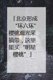 北京形成“环六环”樱桃观光采摘带，这里能买“明星樱桃”