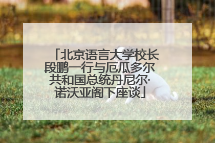 北京语言大学校长段鹏一行与厄瓜多尔共和国总统丹尼尔·诺沃亚阁下座谈